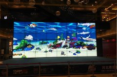 魔幻水族館_3D奇幻水族館_互動水族館